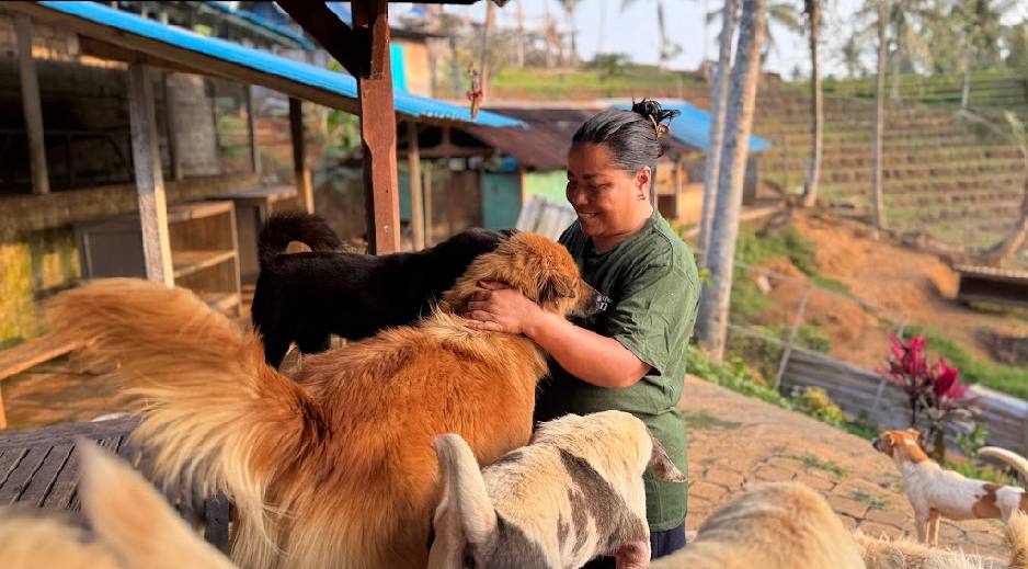 A caregiver gently embracing dogs at the shelter